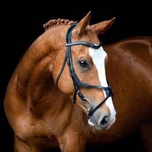 Montar Trense schwarz Lyon